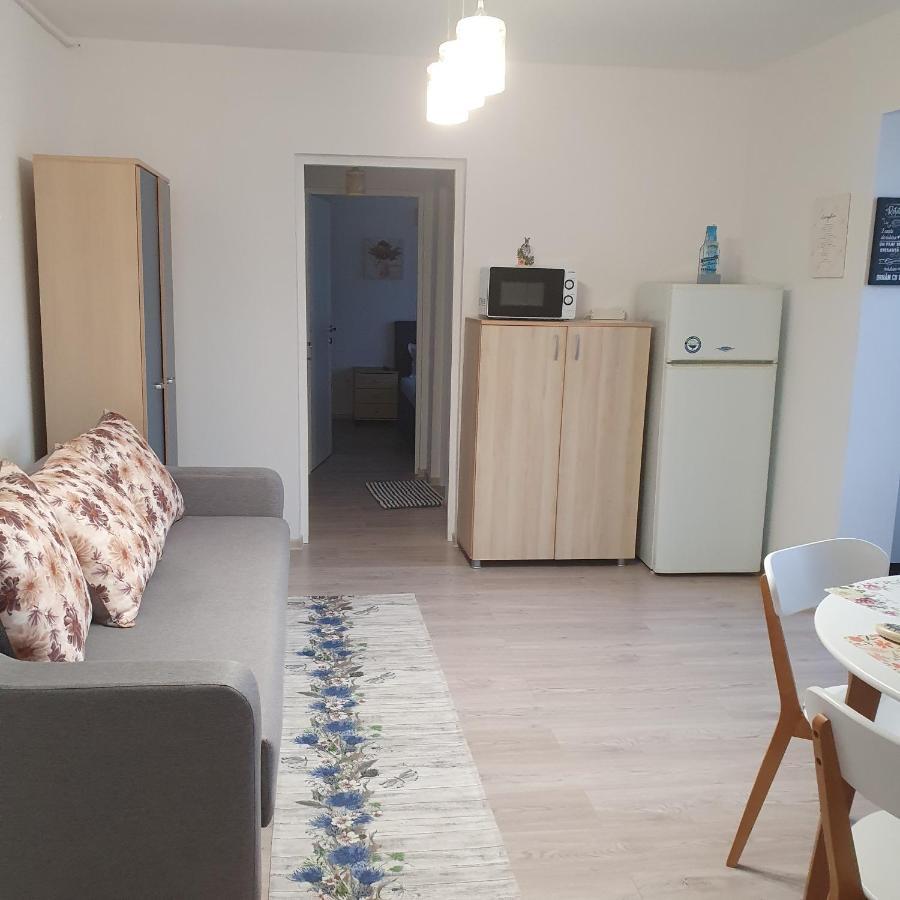 Sendy Apartment Orsova Bagian luar foto