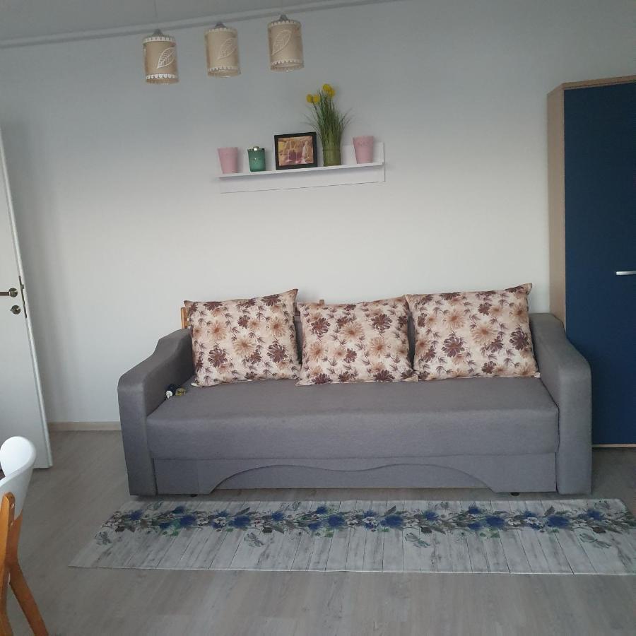 Sendy Apartment Orsova Bagian luar foto